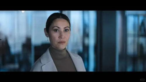 豺狼之日 在线观看,揭秘冷战阴影下的惊悚对决  第3张