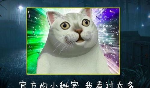 雕刻家故事爆料大全最新,揭秘雕刻家故事爆料大全中的惊世奇闻  第3张